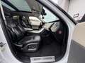 Land Rover Range Rover Sport 3,0 SDV6 |FACELIFT LOOK|MOTOR HAT 10.000 KM STAMD Weiß - thumbnail 12