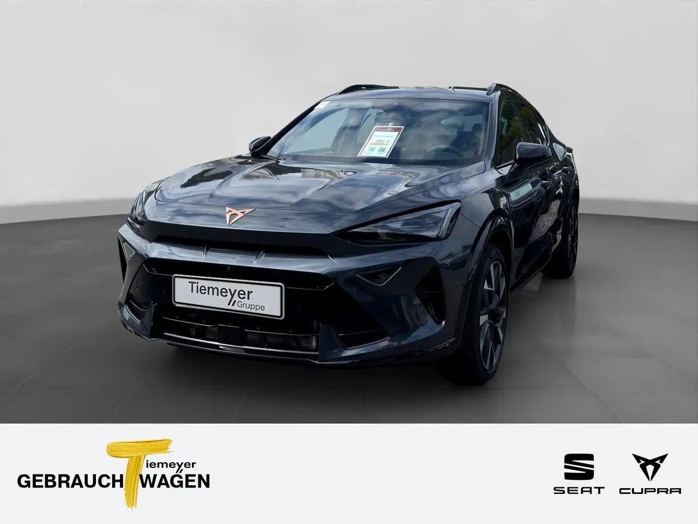 CUPRA Formentor 1.5 TSI DSG LM19 NAVI KAMERA MATRIX Grau - 1