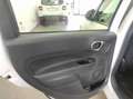 Fiat 500L 500L 1.6 mjt Business 120cv my20 Bianco - thumbnail 15