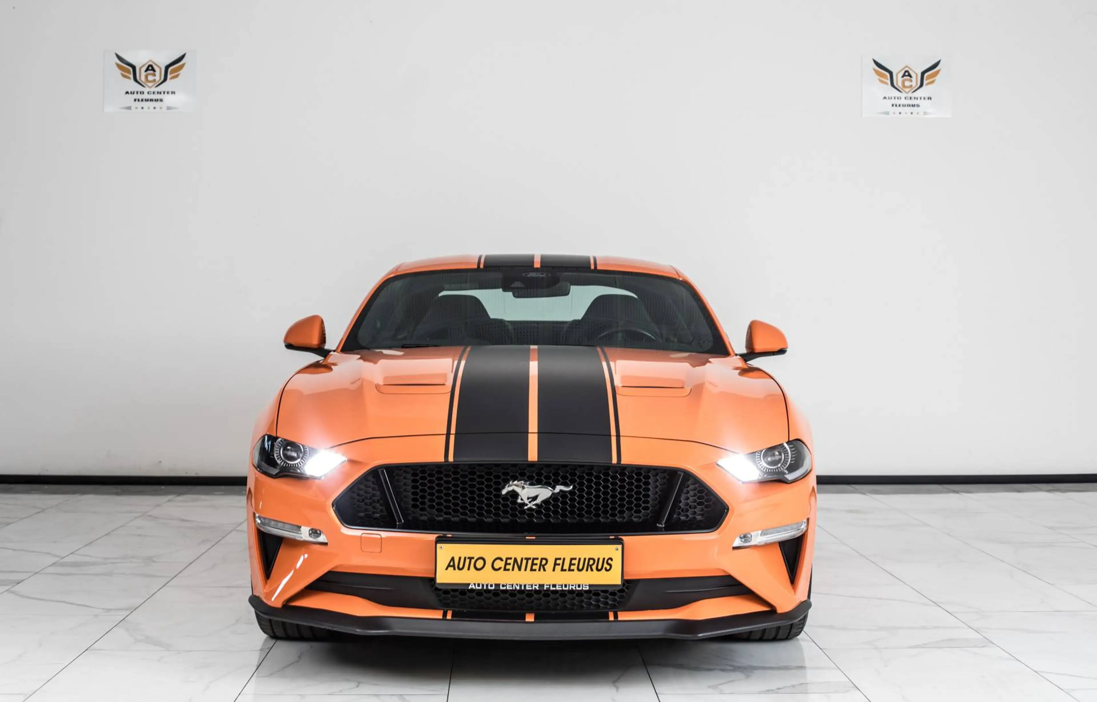 Ford Mustang GT 500 V8 the 55 Year (EU6d) — photo 2