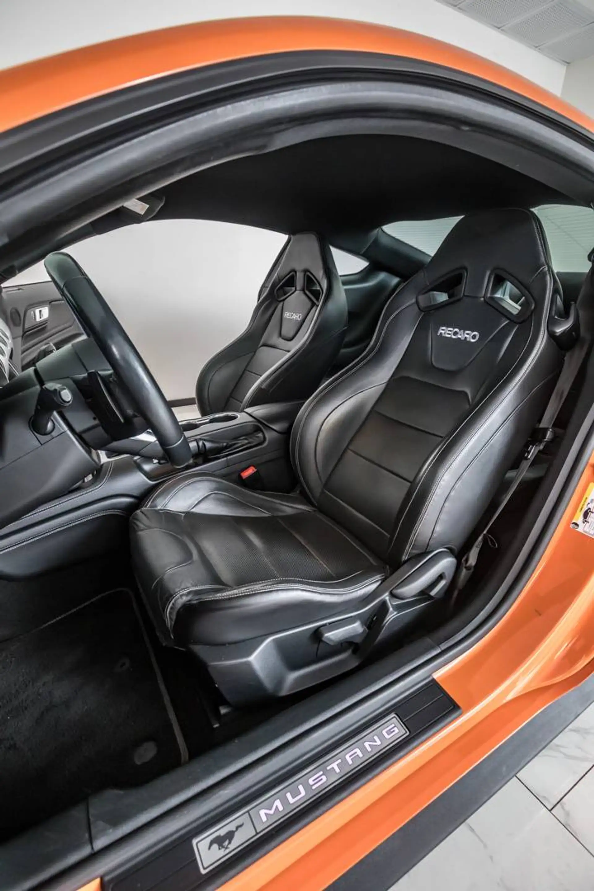 Ford Mustang GT 500 V8 the 55 Year (EU6d) — photo 11