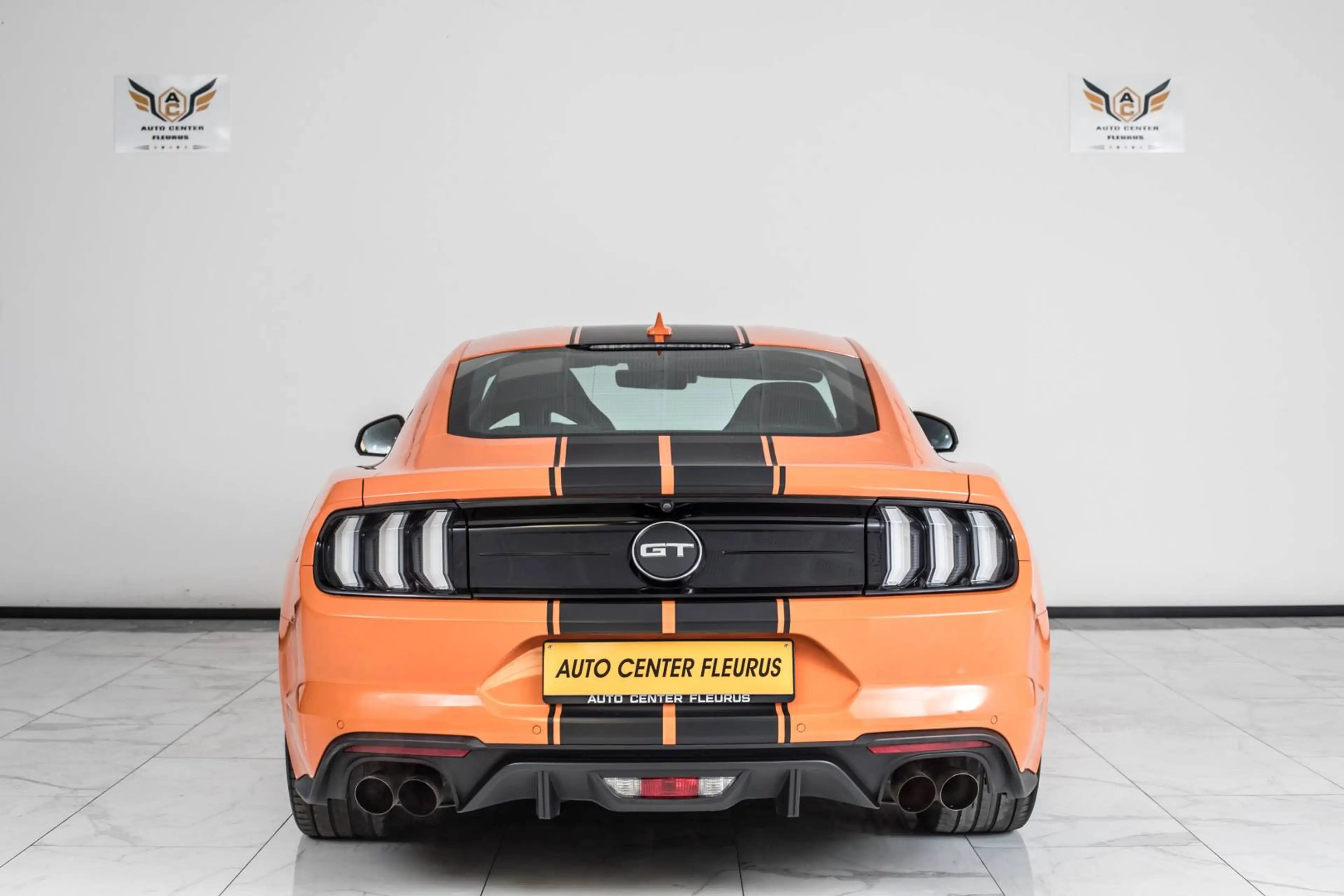 Ford Mustang GT 500 V8 the 55 Year (EU6d) — photo 5