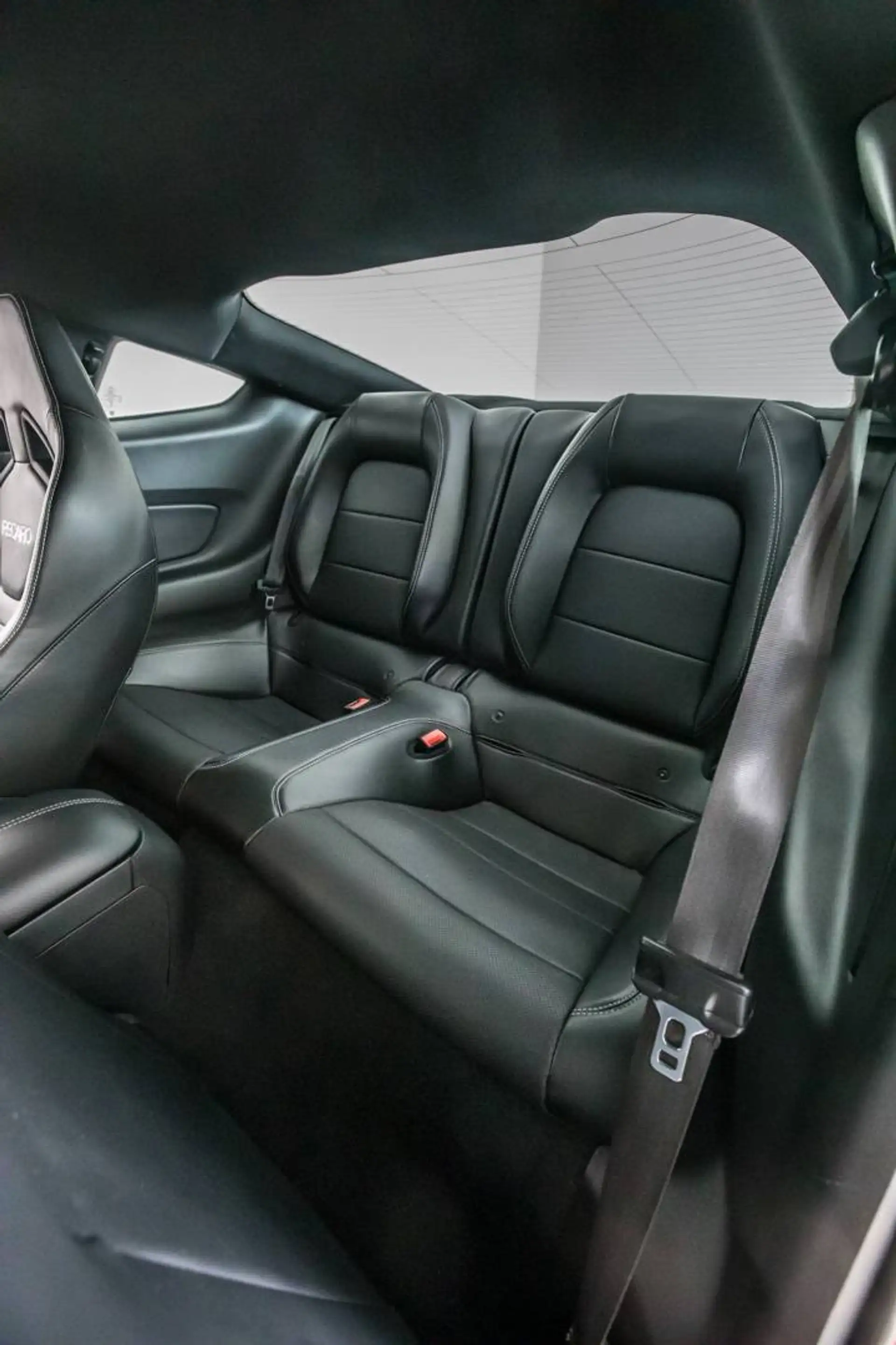 Ford Mustang GT 500 V8 the 55 Year (EU6d) — photo 13