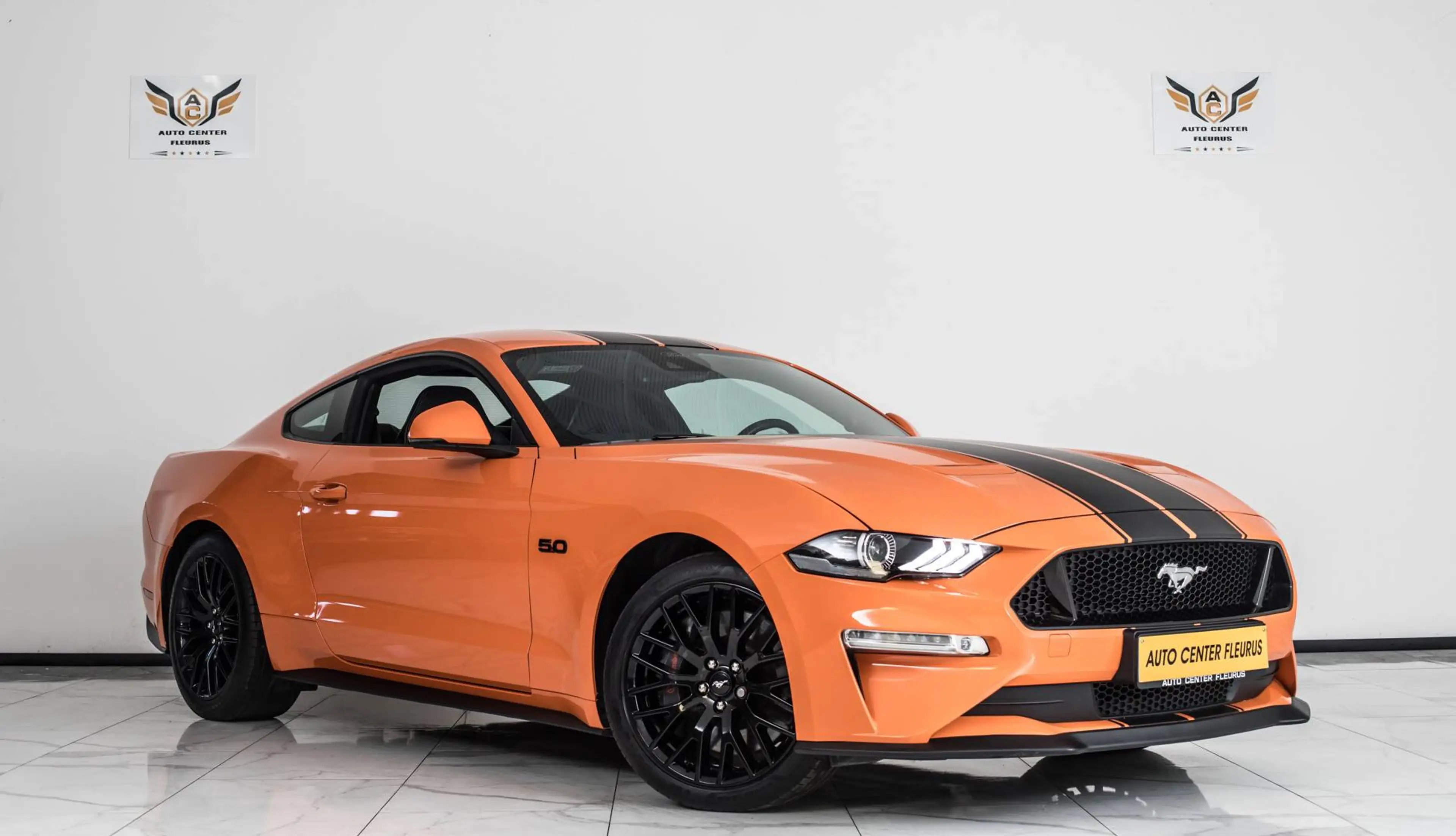 Ford Mustang GT 500 V8 the 55 Year (EU6d) — photo 3
