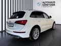Audi SQ5 3,0 TDI quattro DPF Tiptro Weiß - thumbnail 13