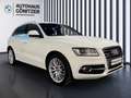 Audi SQ5 3,0 TDI quattro DPF Tiptro Weiß - thumbnail 15