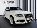 Audi SQ5 3,0 TDI quattro DPF Tiptro Weiß - thumbnail 16
