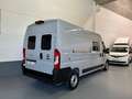 Fiat Ducato 33 L3H2 2.3 Multijet (103kW) Gris - thumbnail 2