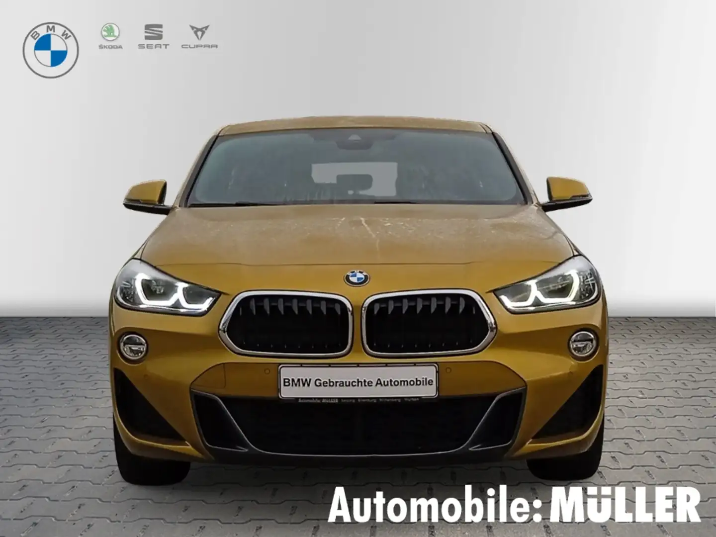 BMW X2 xDrive 18d MSport*Park-Ass*Navi*LED*Kamera* Oro - 2