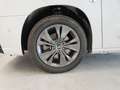 Toyota Proace City 1.5D 130 CV S&S Short A/T Luxury Bianco - thumbnail 15