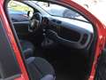 Fiat Panda Panda TwinAir 85 4x4 Wild Wild - thumbnail 4
