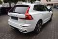 Volvo XC60 T6 AWD Plus Dark AHK,Pano,360°,H&K Weiß - thumbnail 6