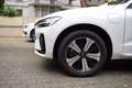 Volvo XC60 T6 AWD Plus Dark AHK,Pano,360°,H&K Weiß - thumbnail 8