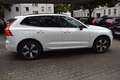 Volvo XC60 T6 AWD Plus Dark AHK,Pano,360°,H&K Weiß - thumbnail 7