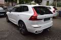 Volvo XC60 T6 AWD Plus Dark AHK,Pano,360°,H&K Weiß - thumbnail 4