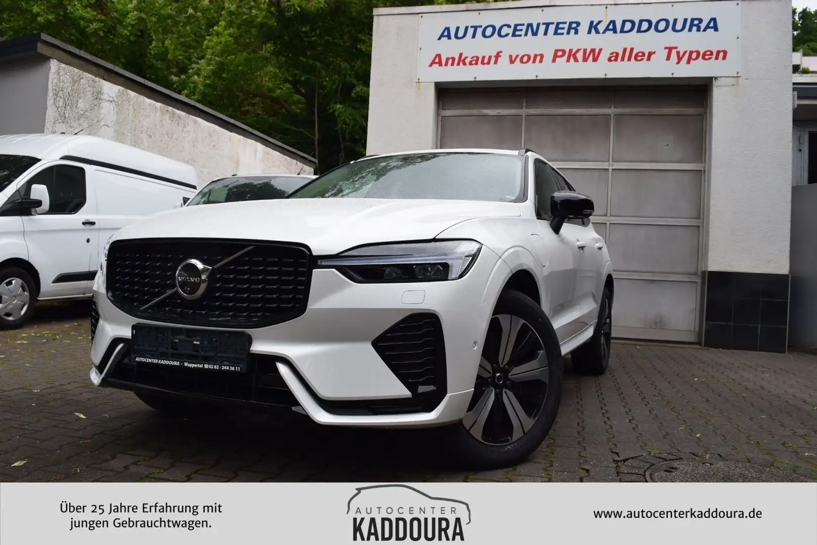 Volvo XC60 T6 AWD Plus Dark AHK,Pano,360°,H&K Weiß - 1