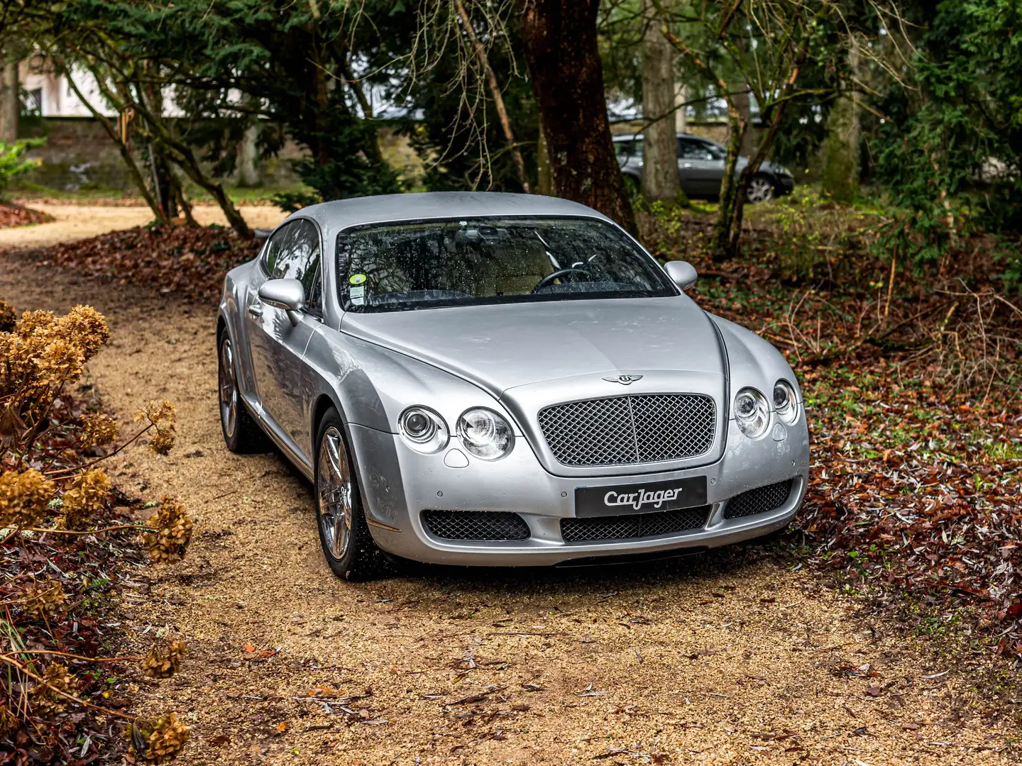 Bentley Continental GT Coupé 6.0 W12 Gris - 1