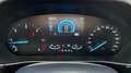 Ford Focus FORD FOCUS SW 1.5 ECOBLUE CO-PILOT 120CV - FULL LE Grigio - thumbnail 18