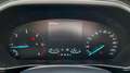 Ford Focus FORD FOCUS SW 1.5 ECOBLUE CO-PILOT 120CV - FULL LE Grigio - thumbnail 14