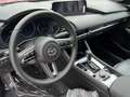 Mazda 3 Mazda3 e-Skyactiv-G140 Homura Aut. Rot - thumbnail 6