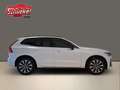 Volvo XC60 B4 Diesel AWD Plus Dark Navi  AHK ACC 360° Ka. Weiß - thumbnail 9