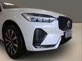 Volvo XC60 B4 Diesel AWD Plus Dark Navi  AHK ACC 360° Ka. Weiß - thumbnail 11