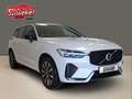 Volvo XC60 B4 Diesel AWD Plus Dark Navi  AHK ACC 360° Ka. Weiß - thumbnail 10