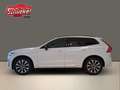 Volvo XC60 B4 Diesel AWD Plus Dark Navi  AHK ACC 360° Ka. Weiß - thumbnail 4