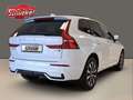 Volvo XC60 B4 Diesel AWD Plus Dark Navi  AHK ACC 360° Ka. Weiß - thumbnail 8