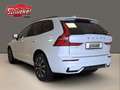 Volvo XC60 B4 Diesel AWD Plus Dark Navi  AHK ACC 360° Ka. Weiß - thumbnail 5