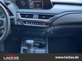 Lexus UX 250h EU6d*STYLE*CARPLAY*LED*15 J. GARANTIE* Grijs - thumbnail 12