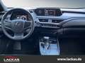 Lexus UX 250h EU6d*STYLE*CARPLAY*LED*15 J. GARANTIE* Grey - thumbnail 11