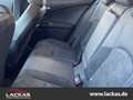 Lexus UX 250h EU6d*STYLE*CARPLAY*LED*15 J. GARANTIE* Grau - thumbnail 10