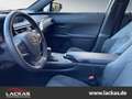 Lexus UX 250h EU6d*STYLE*CARPLAY*LED*15 J. GARANTIE* Grey - thumbnail 6