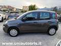 Fiat Panda Panda 1.2 Easy s Grigio - thumbnail 4