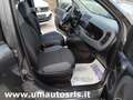 Fiat Panda Panda 1.2 Easy s Grigio - thumbnail 15