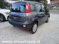 Fiat Panda Panda 1.2 Easy s Grigio - thumbnail 6