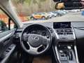 Lexus NX 300 h 300h (E-Four) Zwart - thumbnail 10