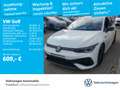Volkswagen Golf VIII 2.0 TSI DSG 4Motion R Navi IQ.Light DA Weiß - thumbnail 1