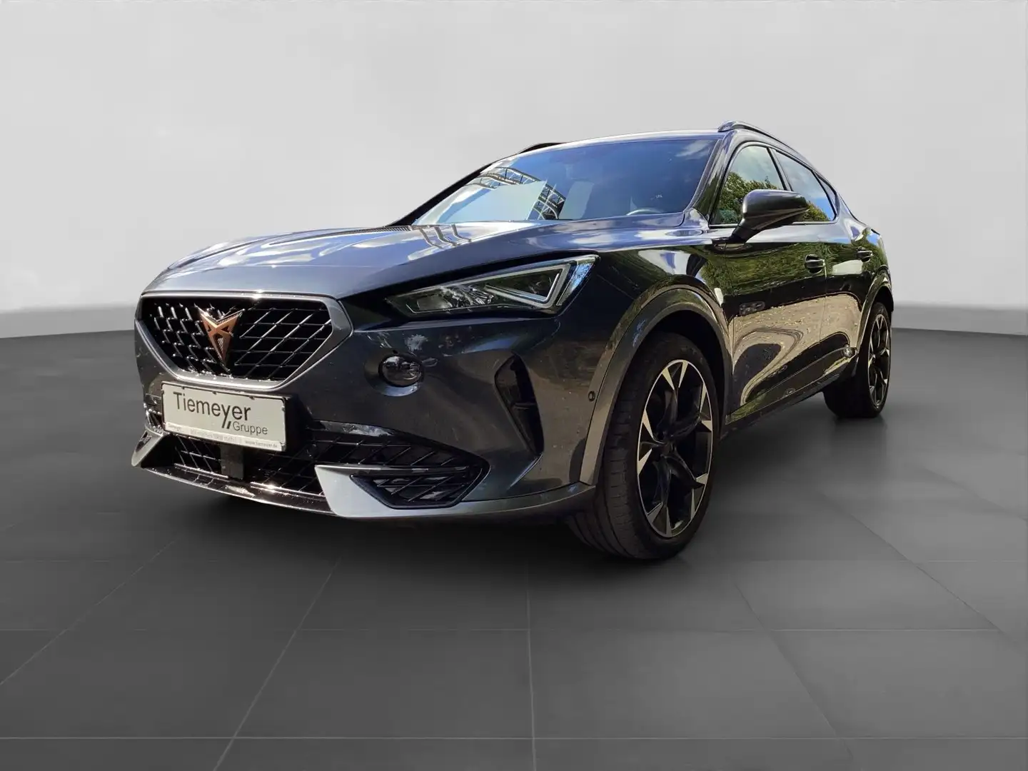 CUPRA Formentor 2.0 TDI 4D LM19 AHK LEDER BEATS STHZG Grau - 2