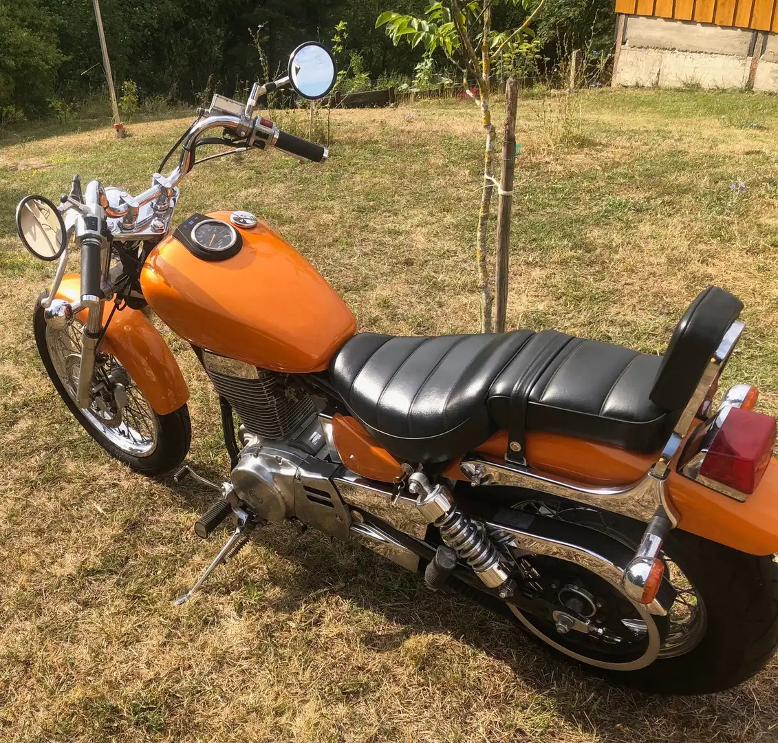Suzuki LS 650 Savage - 2