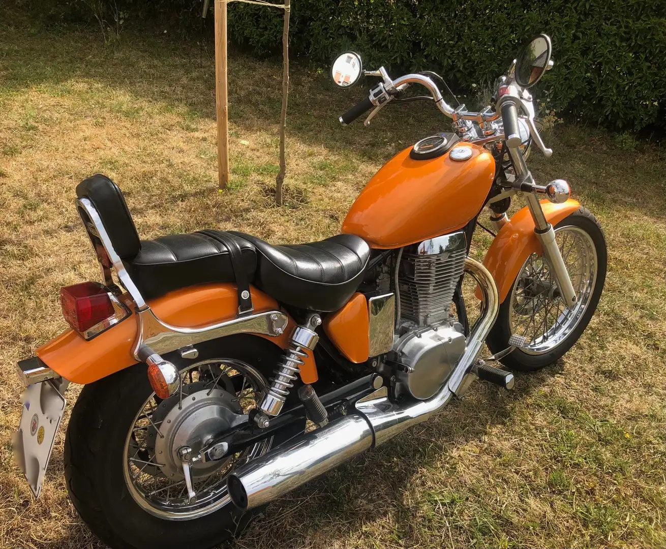 Suzuki LS 650 Savage - 1