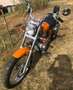 Suzuki LS 650 Savage - thumbnail 4
