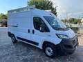 Fiat Ducato 2.2 MJT3 140 CV MH2 PM/TM Bianco - thumbnail 3