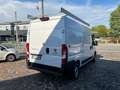 Fiat Ducato 2.2 MJT3 140 CV MH2 PM/TM Bianco - thumbnail 8