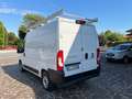 Fiat Ducato 2.2 MJT3 140 CV MH2 PM/TM Bianco - thumbnail 7