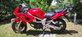 Suzuki SV 650 Bauletto Rouge - thumbnail 2