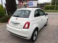 Fiat 500 1.0 hybrid Club 70cv Bianco - thumbnail 4