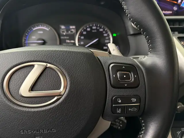 Lexus NX view 11