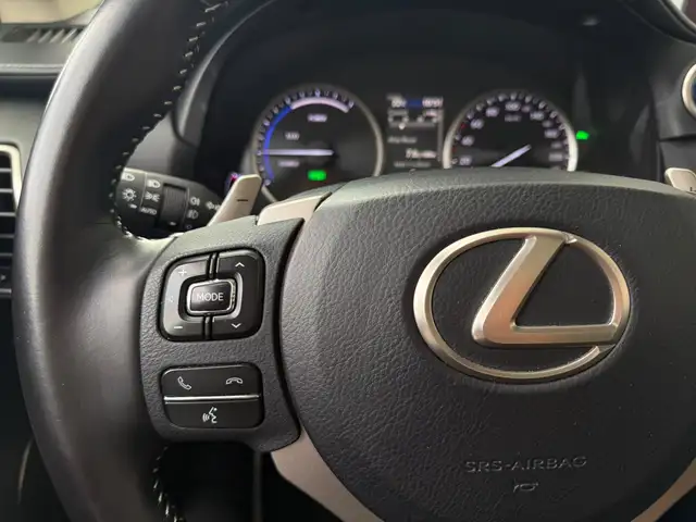 Lexus NX view 10